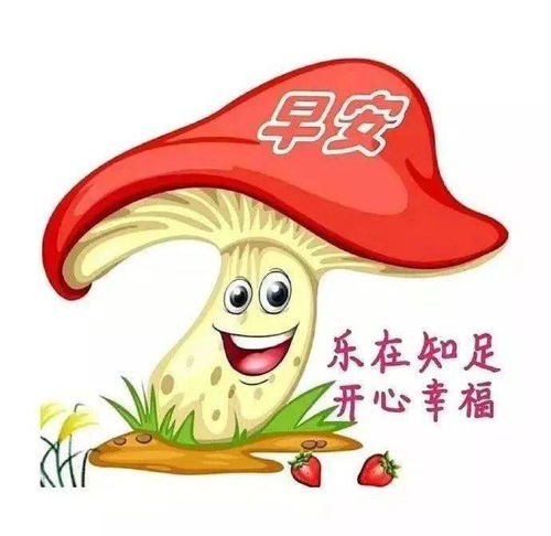 中老年表情包,风雨过后,一定会有阳光