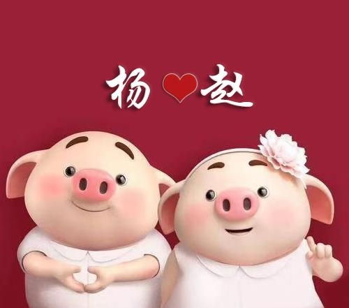 你们的情侣微信姓氏头像更新了,萌萌猪喊你快来领取啦