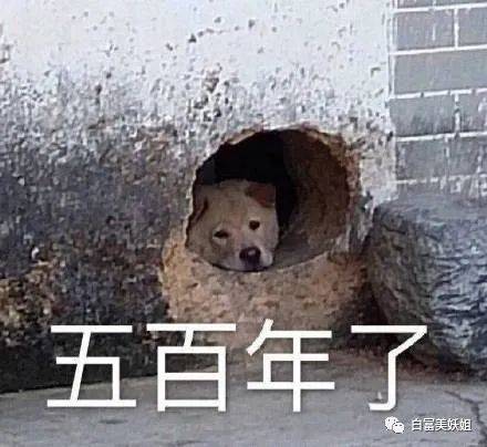 吴某进局100天,最美前任开锤都美竹还意难平呢
