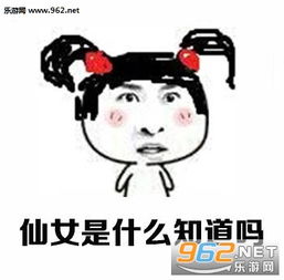 小仙女是用来宠的带字搞笑图片小仙女是用来宠的表情包下载乐游网游戏下载