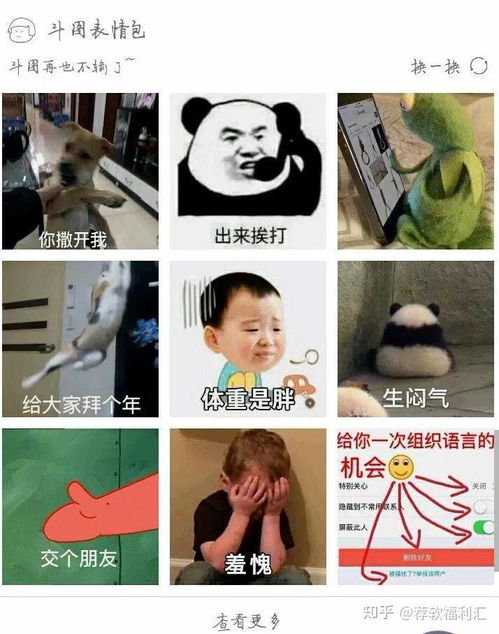 最热门壁纸,最搞笑表情包都在这儿赶快来看一下吧
