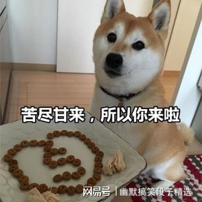 幽默笑话丈母娘今天说孩子应该头朝北睡,脚朝南睡