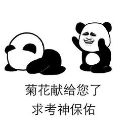 搞笑gif图就不能想个爷们一样,干一架吗