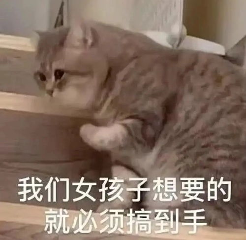 无内鬼,来点mwb笑话