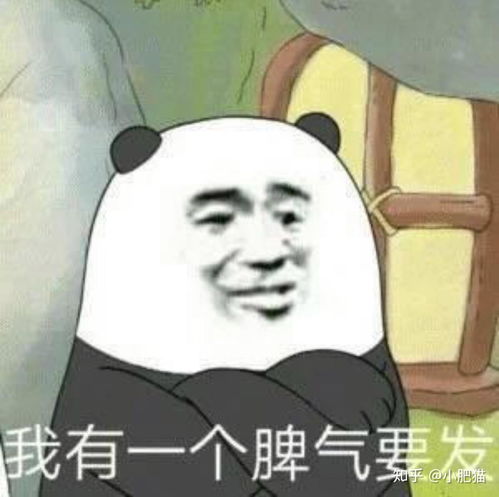 没钱你装什么大尾巴狼