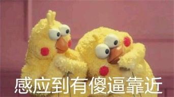 励志表情包搞笑图片励志