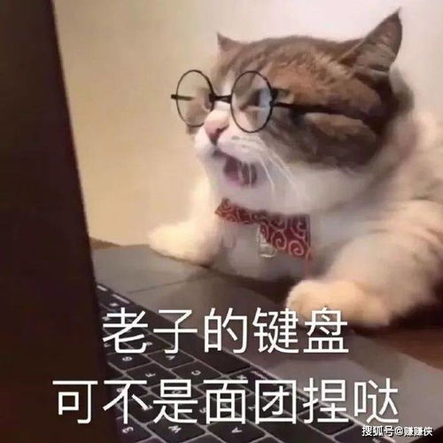 疑问表情包图片昨天不是刚起过床吗,怎么今天又要起床