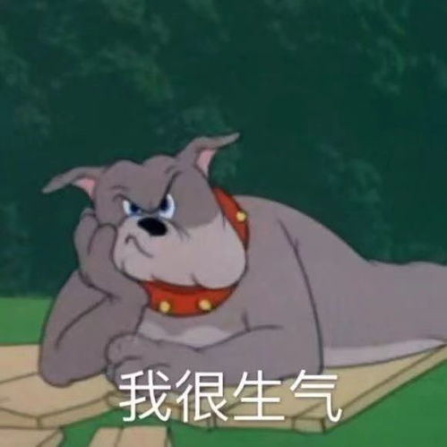 对象看了会开心的沙雕文案