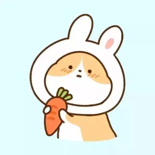 情侣头像小可爱们情人节快乐哟