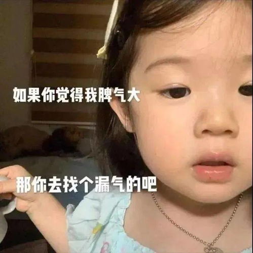 日常搞笑聊天表情