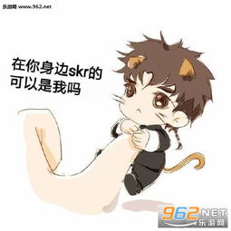 skr什么意思skr表情包下载乐游网游戏下载