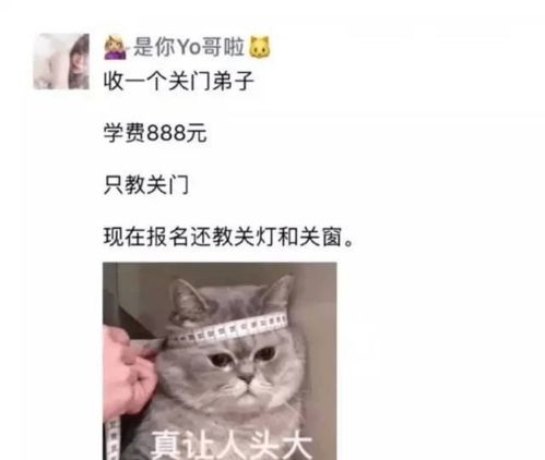 有没有让人特别开心的段子笑话或者爆笑图片