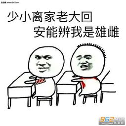 几首有毒的古诗词表情包下载乐游网游戏下载