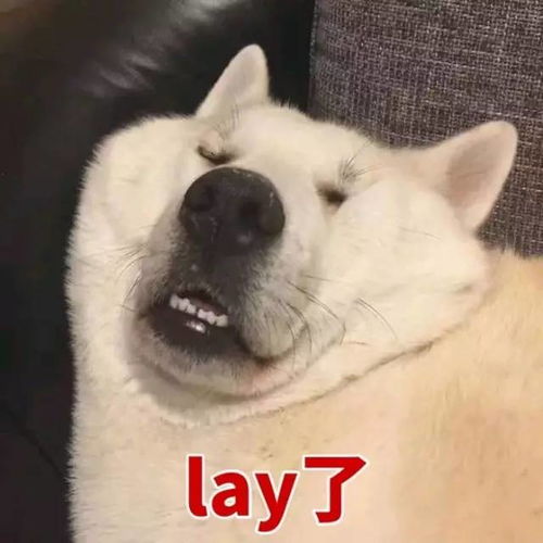 贱贱的小表情