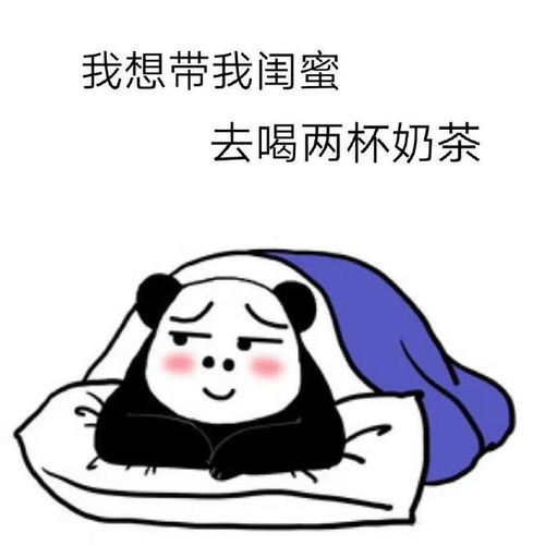 熊猫头套路表情包我能偷拿你一点钱吗