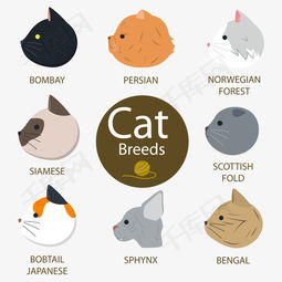 卡通猫侧脸头像矢量素材图片免费下载高清图片pngpsd千库网图片编号6563037