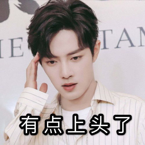 表情包肖战表情包