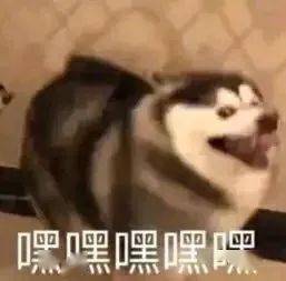 驾校学车翻车现场