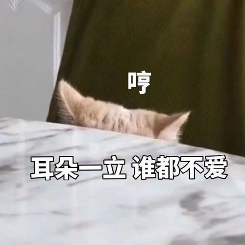 搞笑图片沙雕图片表情包表情