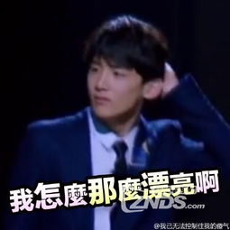 明星大侦探常驻嘉宾表情包汇总