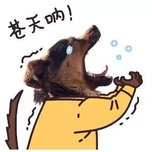 gbls向你发出表白,人人都有被疼爱的权利