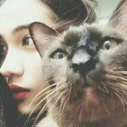 女生自拍照同一人