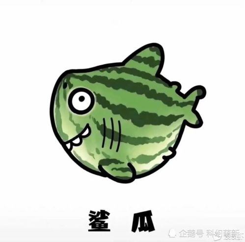 每日一笑,大家都见过什么搞笑的神评