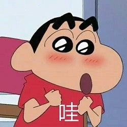 尽情的表达自己的心情丨小新表情包