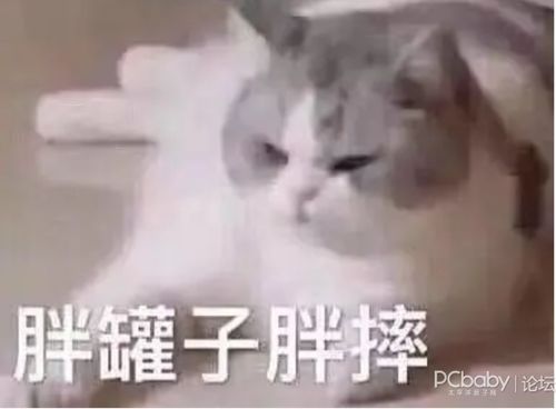 有人做过线雕吗线雕和拉皮手术哪个好