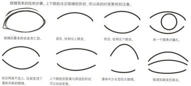 绘画漫画角色基础教学,五官的画法眉毛眼睛篇