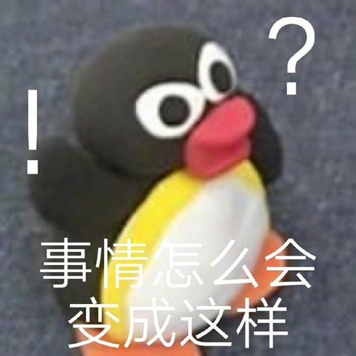 午夜伤心玫瑰