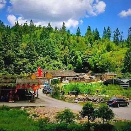 岭背秤架生态休闲康养之旅获选第三批广东省乡村旅游精品线路