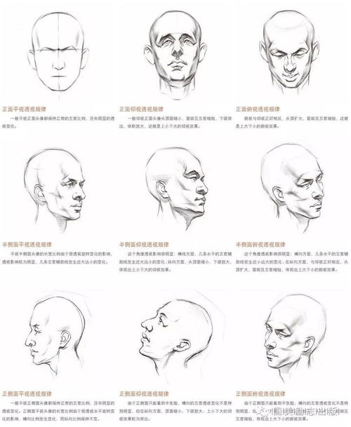 好看的动漫头像怎么画三步基础分析让你画好动漫头像