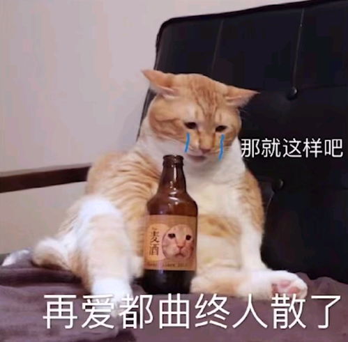 半佛老师视频里面的表情包无水印