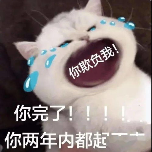 抖音热门搞笑表情包