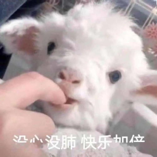 义务维修修机人也要放寒假了