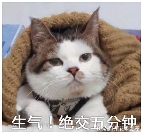 幽默笑话你真是随你爹了这么能吹呢
