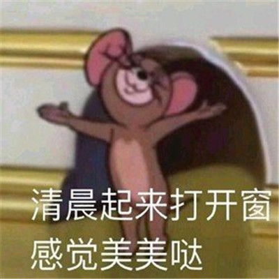 2021最新沙雕表情包更新请看我诚挚的眼神搞笑聊天表情