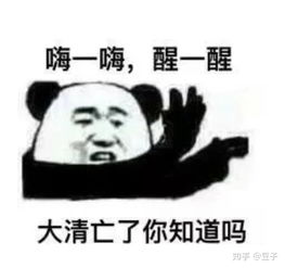 爱用沙雕表情的女孩子就一定沙雕吗