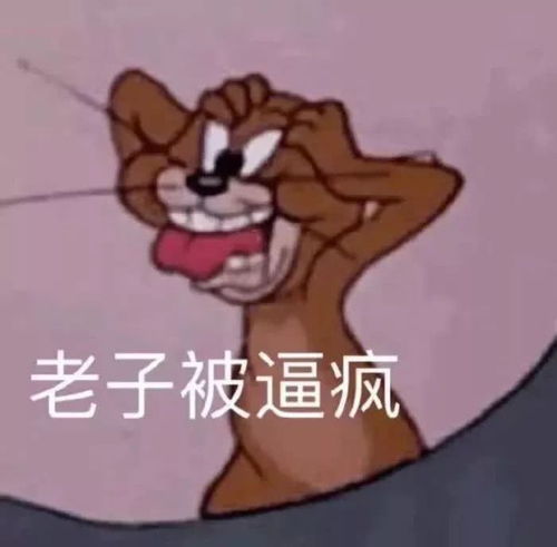 有没有适合说说配图的图片,逗比型,搞笑的,表情包啥的