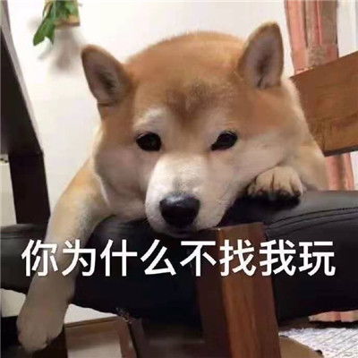 聊天表情包早上好不好也可以随便你