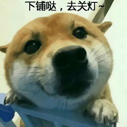 qq表情包下载qq表情包大全腾讯qq表情包当易网