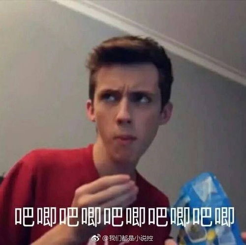 我想要一个人去台湾有没有去湾湾的攻略啊