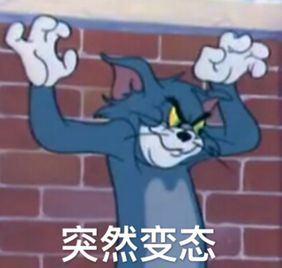 摄影