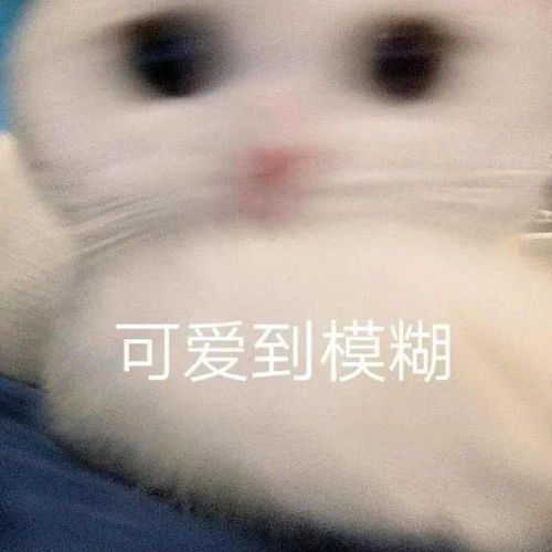表情包动态图难道我就不可怜吗