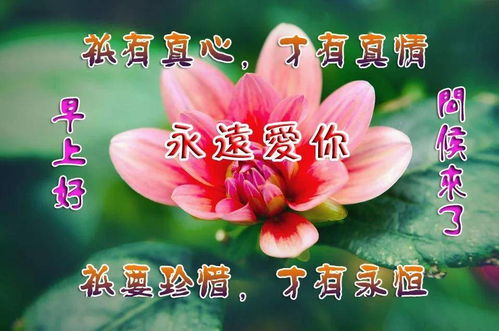 早晨问安把握今天,开心享受每一天,早安
