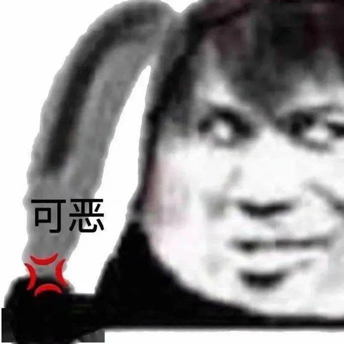 今日份表情包