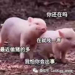 搞笑图片亲滑滑梯吗不要命的那种