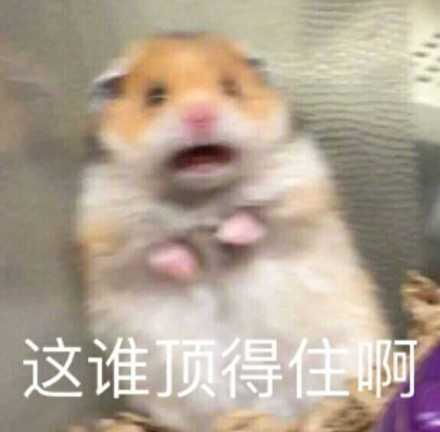 精选沙雕搞笑表情包合集趁老子还没有变孙悟空之前,最好别惹我