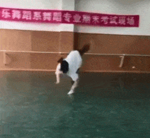 搞笑gif姑娘咋地啦,是我衣服太沉了吗